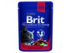  BRIT Premium Cat hovz  kapsika 100 g