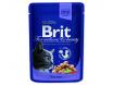 BRIT Premium Cat treska kapsika 100 g
