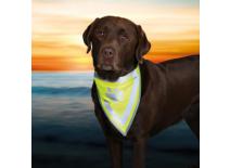 Šátek na krk reflex Safety Dog Žlutý KAR 1ks 