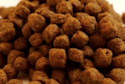 JAK VYBRAT KRMIVO PRO PSA!!!! JAK VYBRAT KRMIVO PRO PSA!!!!