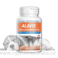 Alavis MSM + glukosamin, 60 tbl