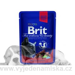  BRIT Premium Cat hovězí  kapsička 100 g