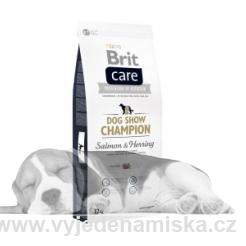 Brit Care Dog Show CHampion